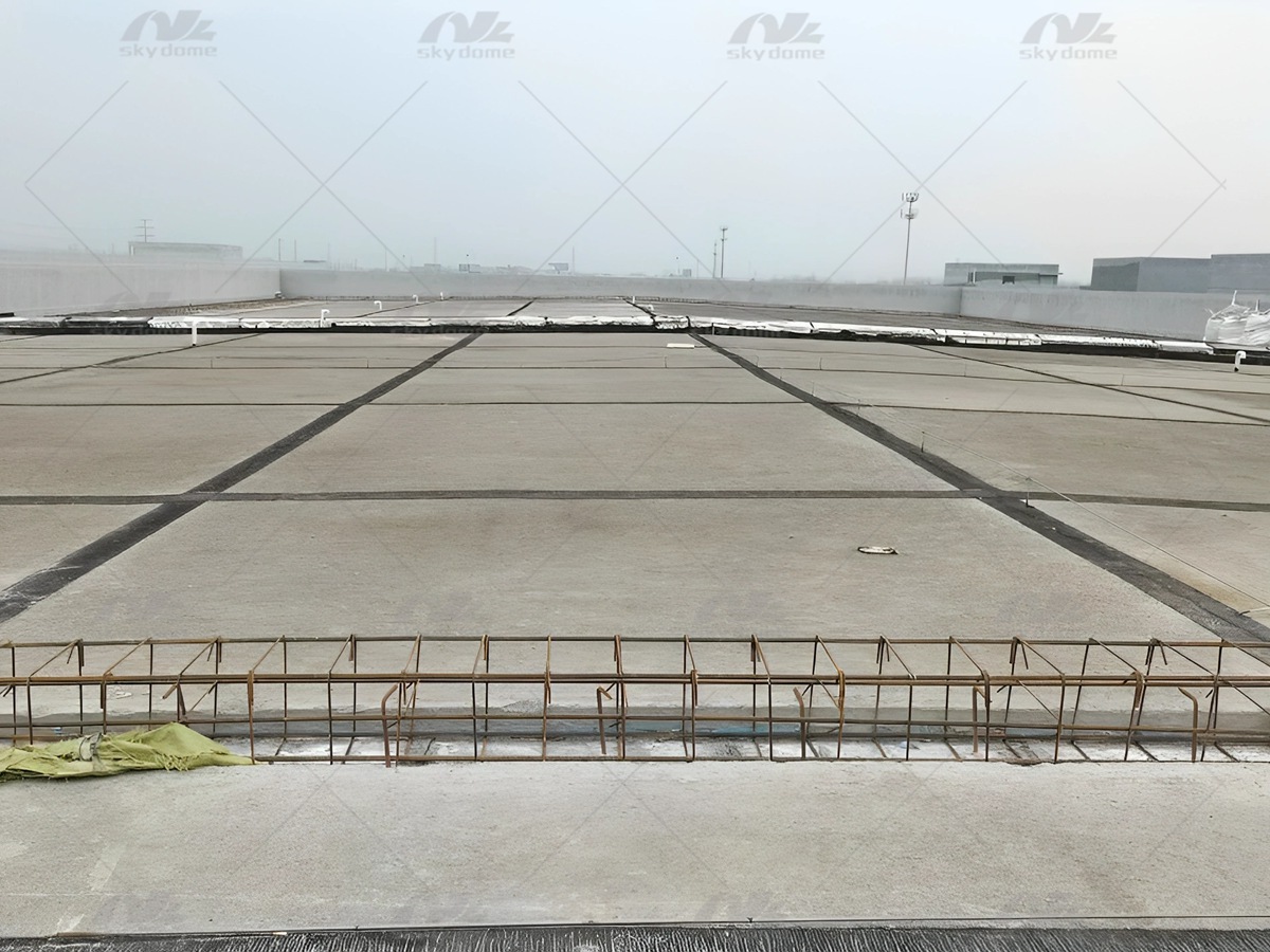 微信图片_2026-02-10_145224_441_副本