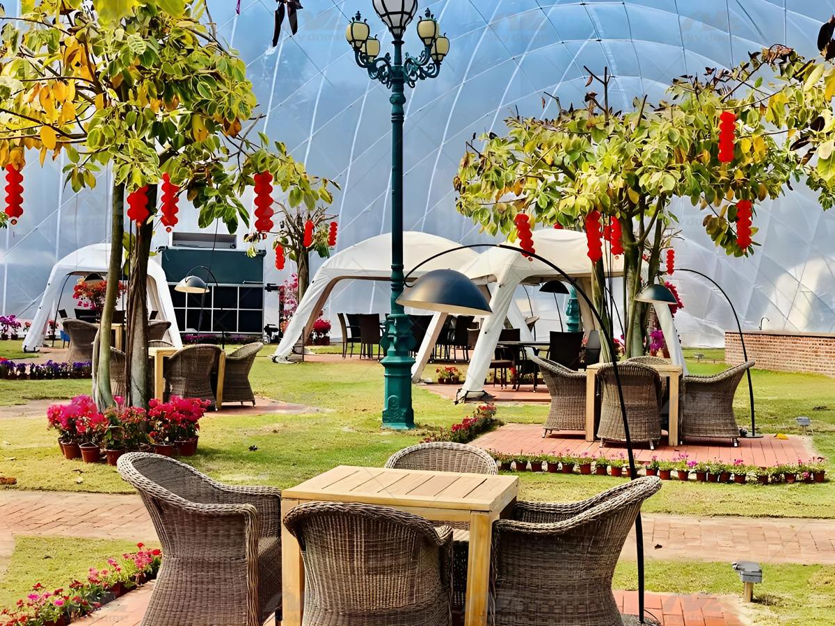 微信图片_2026-02-06_162609_223_副本