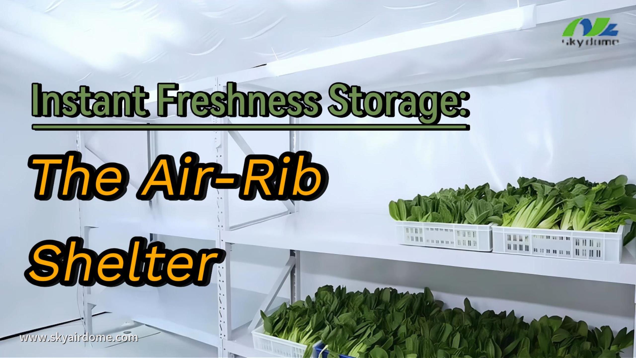 Instant Freshness Storage: The Air-Rib Shelter