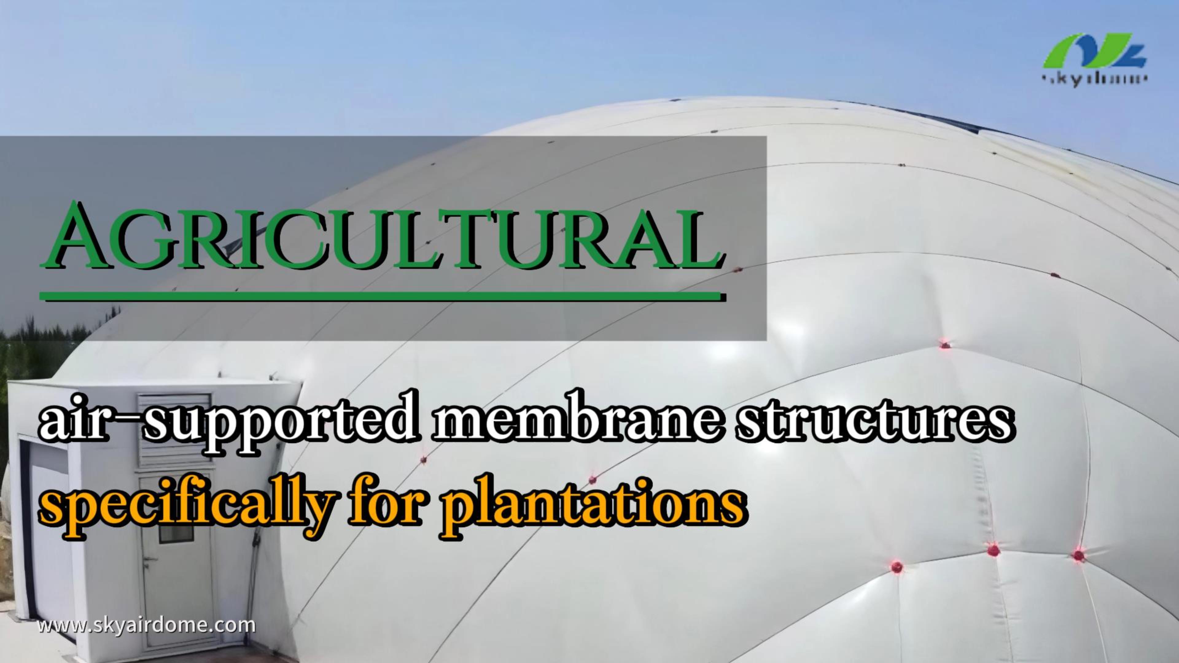 Agricultural air-supported membrane structures, specifically for plantations
