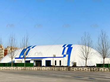 Air Membrane Dome.png