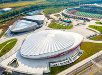 Steel-membrane Structure
